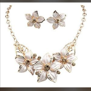 Ladies necklace and earring set